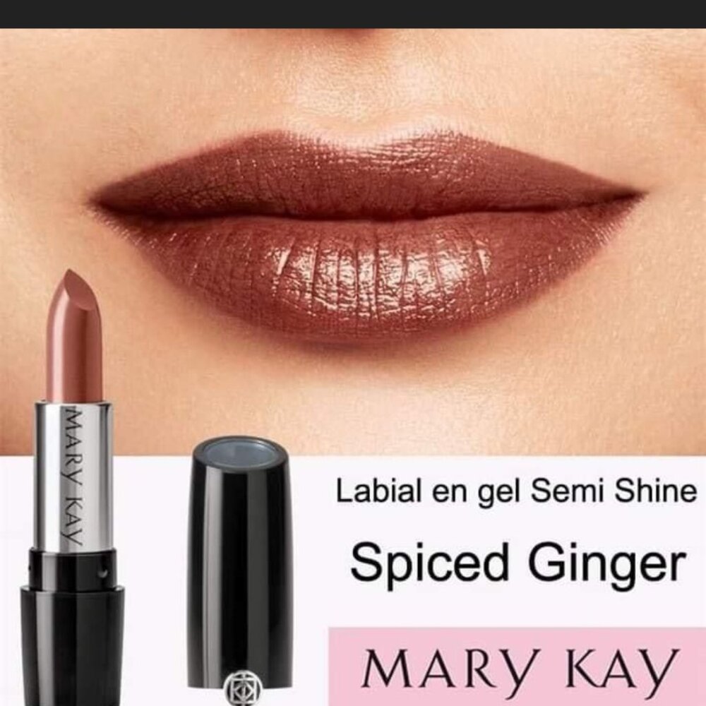 Mary Kay Spiced Ginger Lipstick